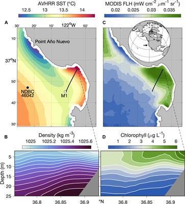 Influences of Extreme Upwelling on a Coastal Retention Zone